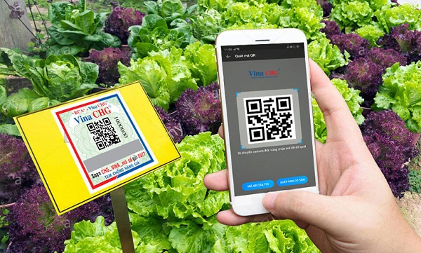 Truy xuất nguồn gốc: Doanh nghiệp cung cấp giải pháp lưu trữ riêng gây khó công tác quản lý 