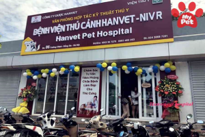 30 năm nâng tầm chất lượng thú y Việt