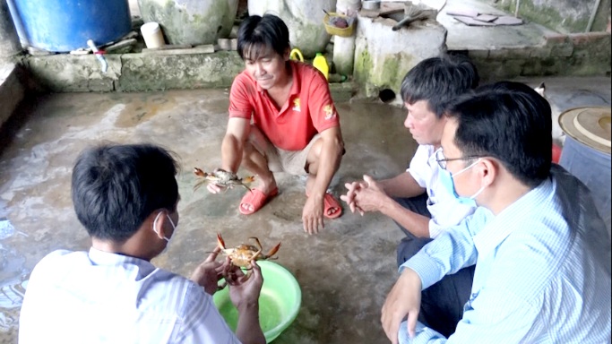 Cà Mau: Đã xác định được nguyên nhân cua chết hàng loạt trên diện rộng