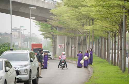 Đùa giỡn tử thần, ngang nhiên đứng giữa đường để chụp ảnh cùng hàng cây bàng Đài Loan ở Hà Nội