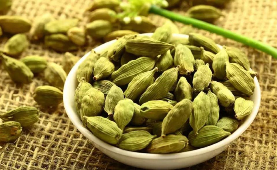 Lợi ích của bạch đậu khấu đối với sức khỏe