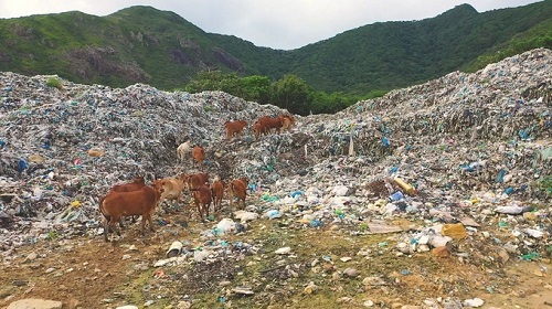 Lượng rác thải nhựa tại Côn Đảo lên đến hơn 221 tấn/năm