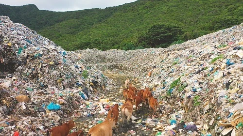 Chiến dịch “Côn Đảo - Điểm đến giảm nhựa” kỳ vọng trong tương lai, những “núi rác” và tình trạng rác thải nhựa tại Côn Đảo sẽ được giảm bớt. (Ảnh: WWF)