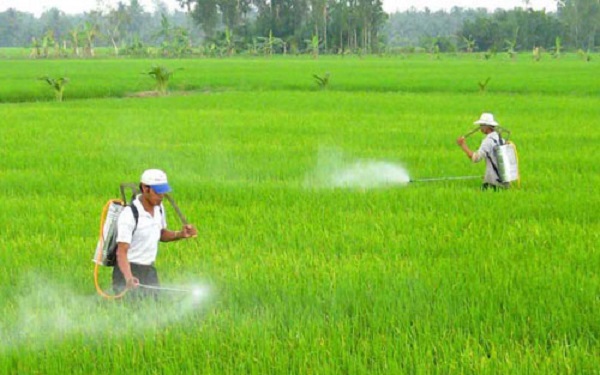 42% nông dân muốn ứng dụng số hóa trong nông nghiệp