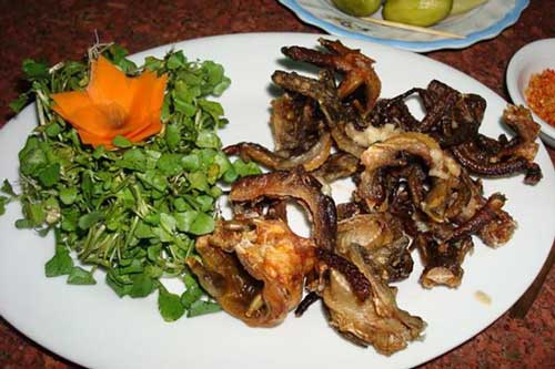 Người Tây Ninh lên núi câu thằn lằn, làm ra món đặc sản trứ danh vùng núi Bà Đen