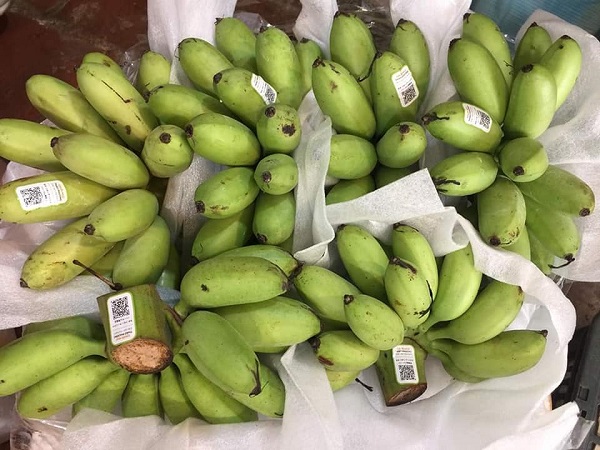 Chỉ thị về tăng cường quản lý mã số vùng trồng và cơ sở đóng gói nông sản xuất khẩu