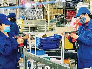 Cắt giảm điều kiện kinh doanh: Nghịch lý bộc lộ trong đại dịch