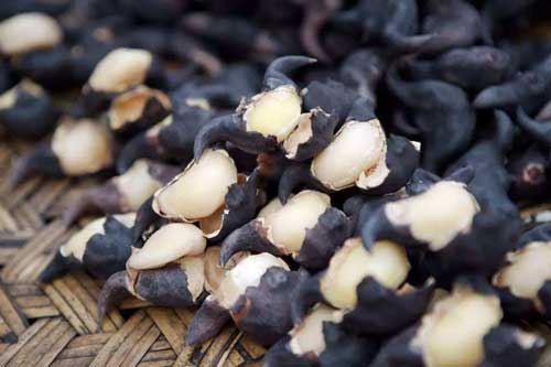 Loại củ đen sì, nhọn hoắt nhưng bóc ra trắng muốt, ngọt bùi ăn mãi không chán