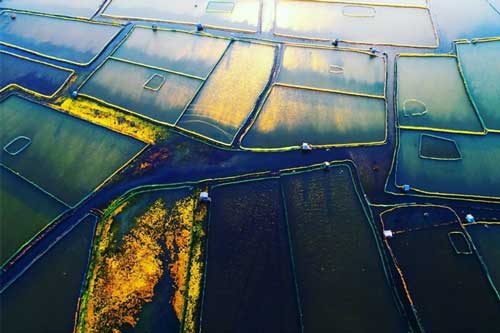 Thong dong ngắm bình minh và hoàng hôn đẹp mê ly tại đệ nhất thắng cảnh Phú Yên