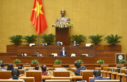 Rà soát sửa đổi quy định xử lý cuộc đấu giá đất có dấu hiệu bất thường