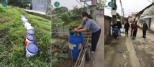 Xử lý rác tại nhà giúp giảm tới 70% khối lượng rác mỗi hộ gia đình