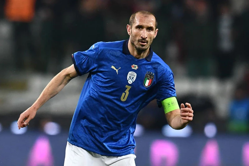 Trung vệ: Giorgio Chiellini (Italia).