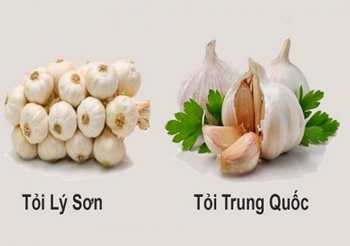 Bí quyết phân biệt rau củ quả Trung Quốc cho bà nội trợ thông thái