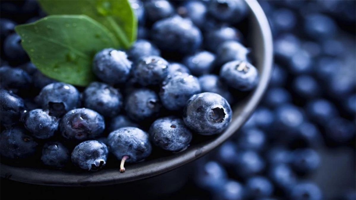 Quả việt quất: Loại quả này chứa nhiều chất dinh dưỡng. Chúng rất giàu flavonoid gọi là anthocyanin, được chứng minh là có tác dụng bảo vệ mô phổi khỏi bị tổn thương do quá trình oxy hóa.