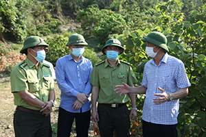 Lên với Trường Sơn (phóng sự kỳ 3): Trùng điệp cảm xúc tê người