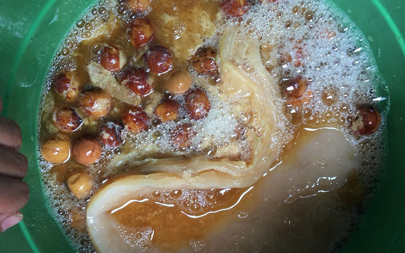 Cách ủ enzym bồ hòn làm nước tẩy rửa an toàn