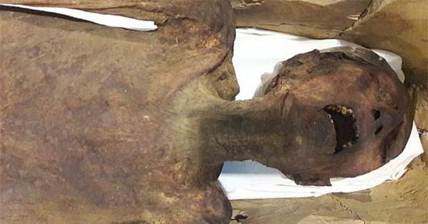 Bí ẩn “xác ướp hoàng tử la hét” 3.000 tuổi với vẻ mặt đau đớn đến ám ảnh: Kết quả phân tích ADN tiết lộ câu chuyện bi thảm đằng sau - Ảnh 1.