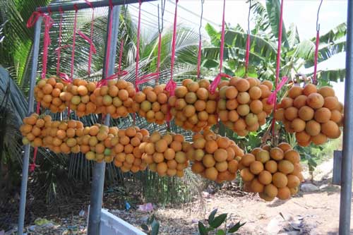 3 món giải nhiệt đang ‘hot’ rần rần: Người miền Tây nhìn qua là biết ngay món gì