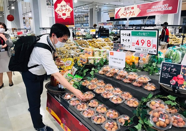 Sắp diễn ra phiên tư vấn xuất khẩu sang thị trường Nhật Bản tại Hà Nội