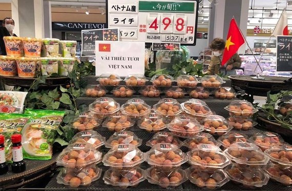 Tìm đường xuất khẩu sang Nhật Bản: Doanh nghiệp cần bỏ tư duy sản xuất manh mún, giữ uy tín để đi đường dài
