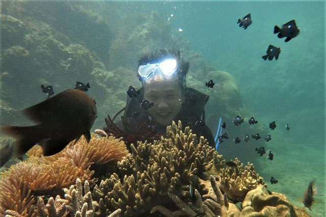 San hô ở vịnh Quy Nhơn bị tàn phá