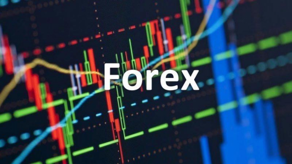 “Đầu tư trên sàn giao dịch Forex là mang tiền cho kẻ lừa đảo”