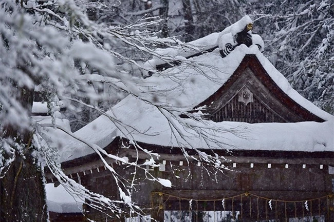 Chiêm ngưỡng vẻ đẹp mê hoặc trong tuyết của ngôi đền thần ở Nhật Bản 1