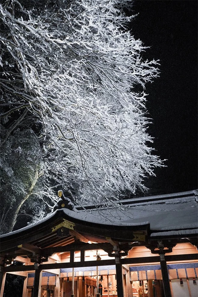 Chiêm ngưỡng vẻ đẹp mê hoặc trong tuyết của ngôi đền thần ở Nhật Bản 4