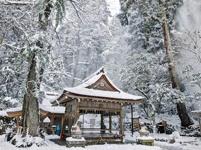 Chiêm ngưỡng vẻ đẹp mê hoặc trong tuyết của ngôi đền thần ở Nhật Bản 5