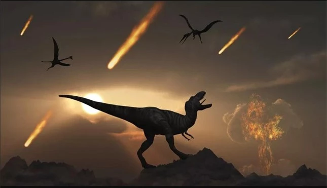 Loài gián vẫn sống ngay cả khi thiên thạch làm khủng long tuyệt chủng ảnh 1