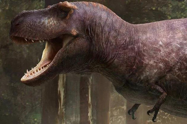 Lý do rùng rợn khiến "tay" của bạo chúa T-rex hầu như biến mất