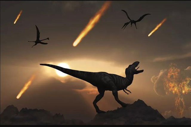 Loài gián vẫn sống ngay cả khi thiên thạch làm khủng long tuyệt chủng