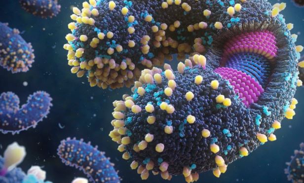 Thấy 5.500 loài virus mới ẩn trong đại dương, chuyên gia tiết lộ mục tiêu 'không đơn giản'