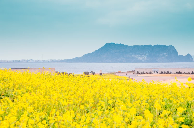 Đảo Jeju