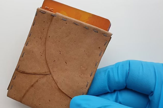 Túi, ví làm từ nấm mang tiềm năng ‘đánh bật’ da động vật