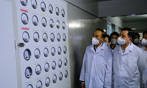 Sắp công bố vaccine dịch tả lợn Châu Phi do doanh nghiệp Việt nghiên cứu