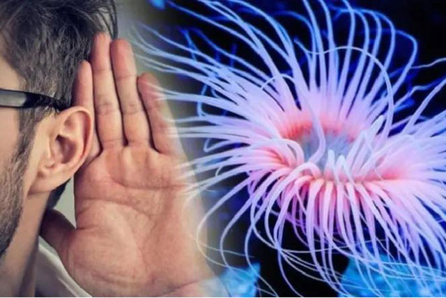 Phát hiện liên hệ gây sốc giữa con người và quái vật biết mọc lại đầu