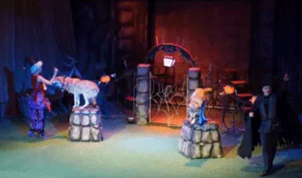 Hổ, gấu, sư tử có thể mạnh hơn, nhưng sói không phải diễn trò trong rạp xiếc: Sự thật?