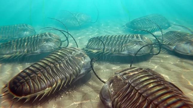 Bọ ba thùy, động vật chân đốt sống ở biển có thể là loài ăn thịt đồng loại đầu tiên trên thế giới.