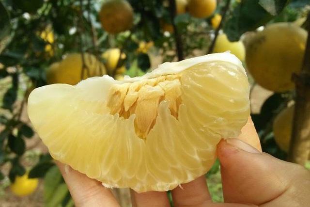 Tác dụng bất ngờ khi mẹ thường xuyên cho trẻ ăn bưởi