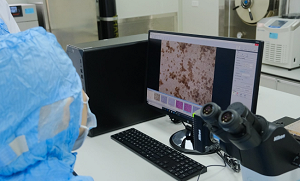 Linh hoạt quy trình, đẩy nhanh tiến độ sản xuất vaccine phòng dịch tả lợn châu Phi