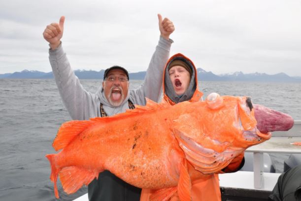 Cần thủ kéo lên con cá kỳ lạ với mắt lồi, dạ dày lòi ra khỏi miệng: Đây là hiện tượng gì?