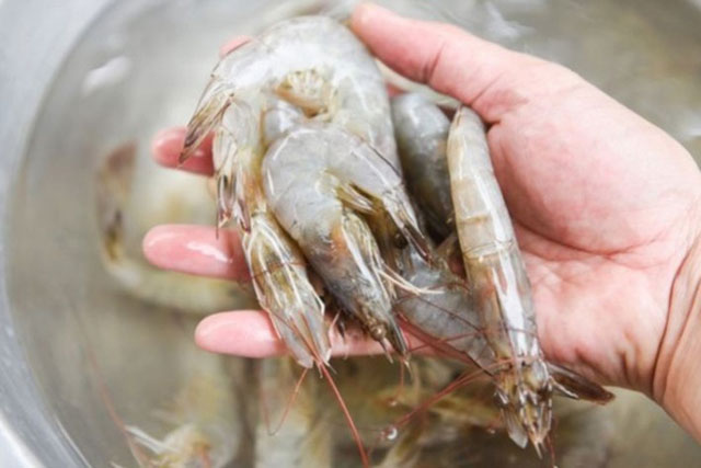 Tôm để tủ lạnh bị đen có nên ăn không? Bảo quản tôm thế nào để vẫn tươi ngon như mới?