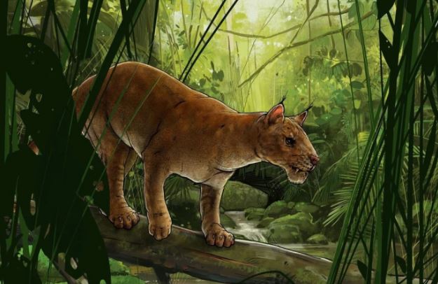 Phát hiện loài săn mồi răng kiếm cổ xưa nhất