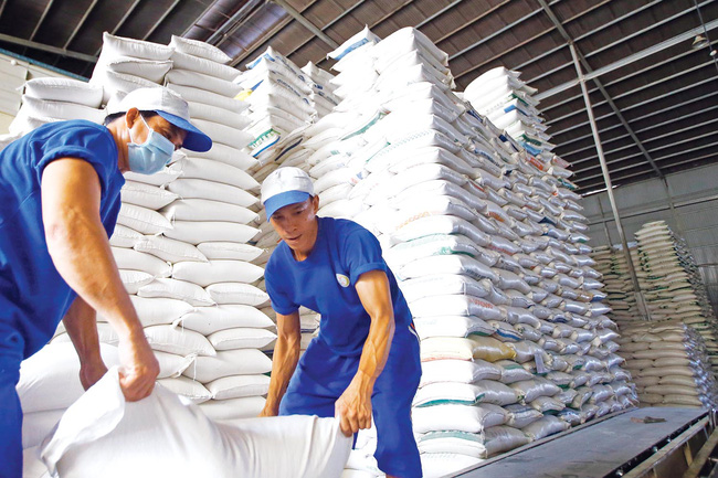 Xuất khẩu gạo của Việt Nam dự kiến sẽ tăng trong những tháng tới. Ảnh minh họa - Ảnh: Báo Đầu tư.