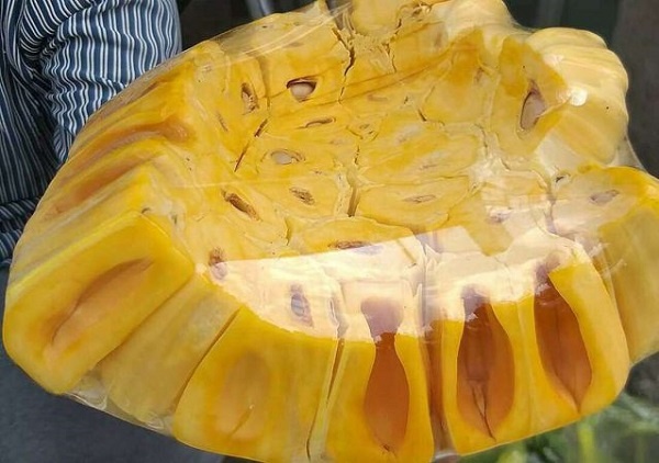 Bí quyết chọn mua mít Thái múi dày ngọt lịm, không sợ hóa chất