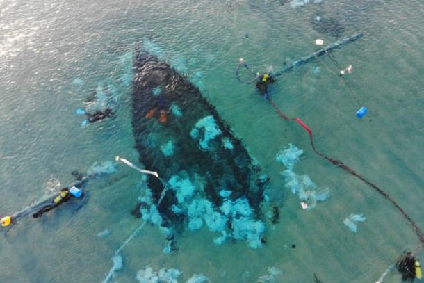 Tàu đắm 6 thế kỷ mang bộ xương lạ tiết lộ "bóng ma" giết chết 2/3 người châu Âu