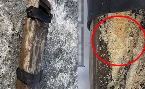 Sông băng tan chảy để lộ "báu vật" bị chôn vùi 500 năm, vừa mở ra đã dậy mùi thơm nức mũi nhưng ẩn chứa thực tế phũ phàng