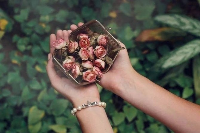 Hạnh phúc thực sự đơn giản hơn những gì chúng ta nghĩ