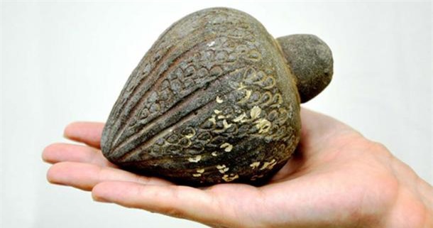 Tìm thấy chiếc bình gốm thời Trung cổ, chuyên gia phát hiện bí ẩn: Có thể gây ra vụ nổ - Ảnh 1.